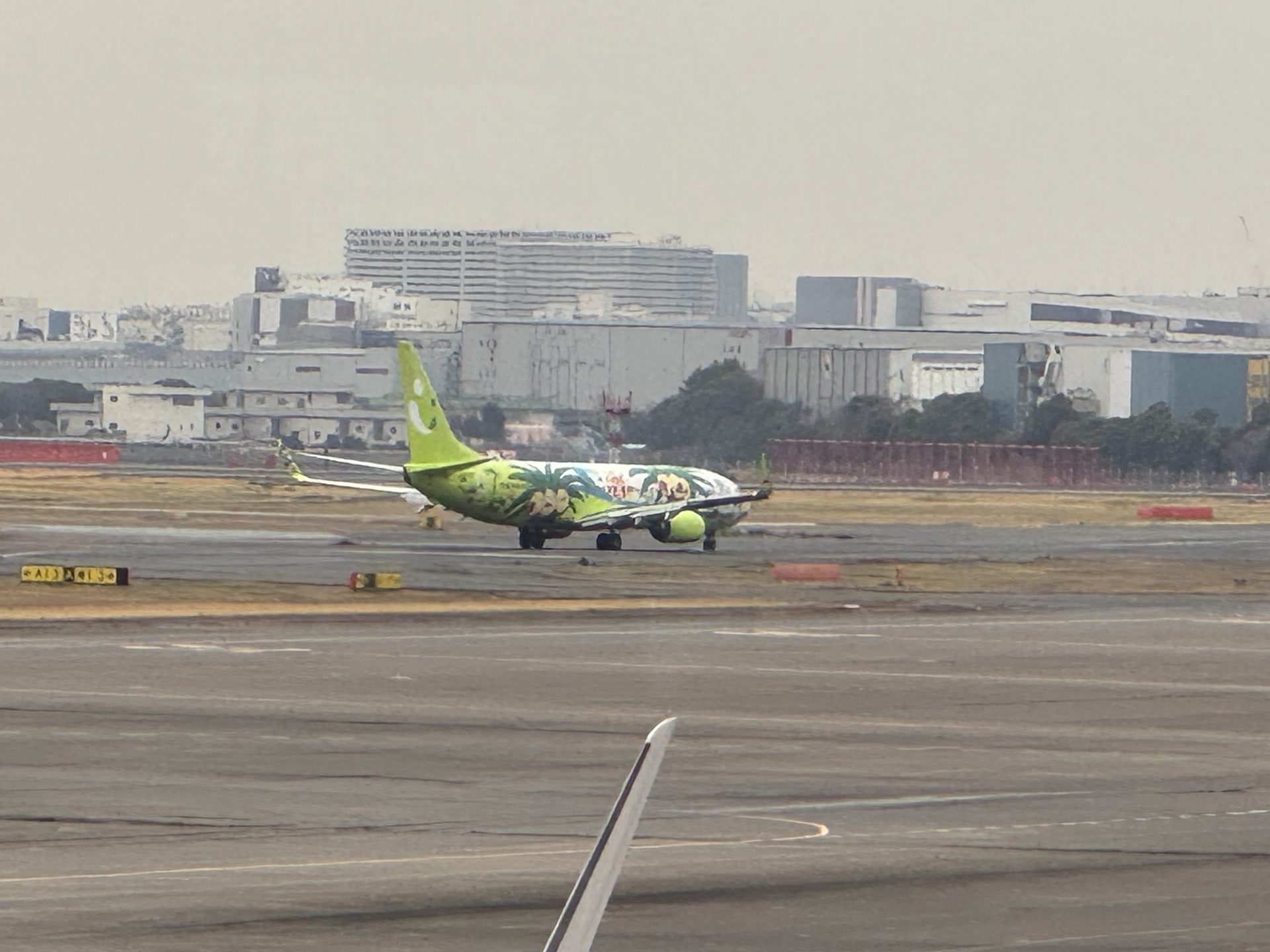 Zielony Boeing 737 Solaseed Air z tropikalnym malowaniem na płycie lotniska Haneda