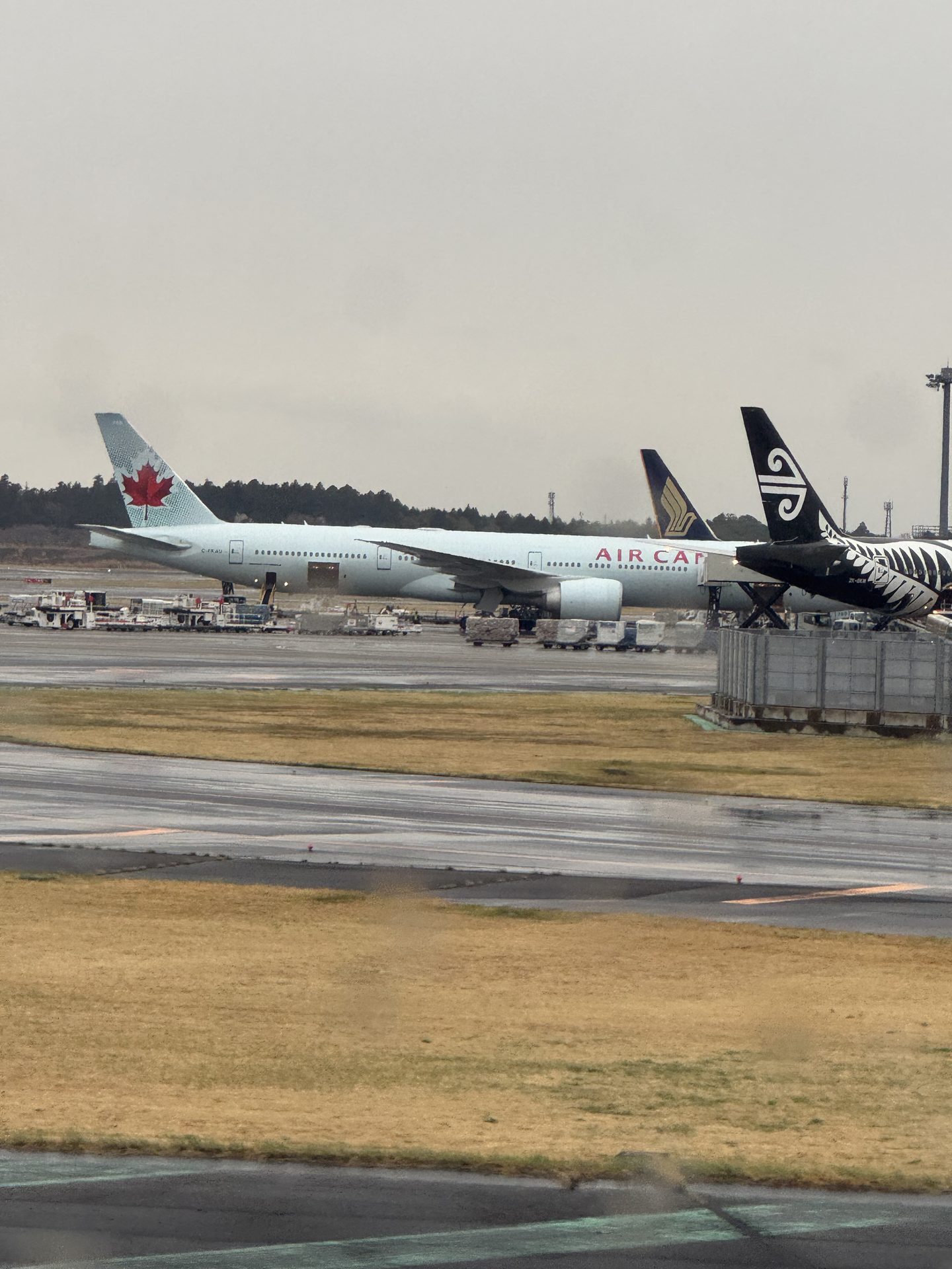 Trzy wielkie linie lotnicze – Air Canada, Air New Zealand i Singapore Airlines – na płycie Narita