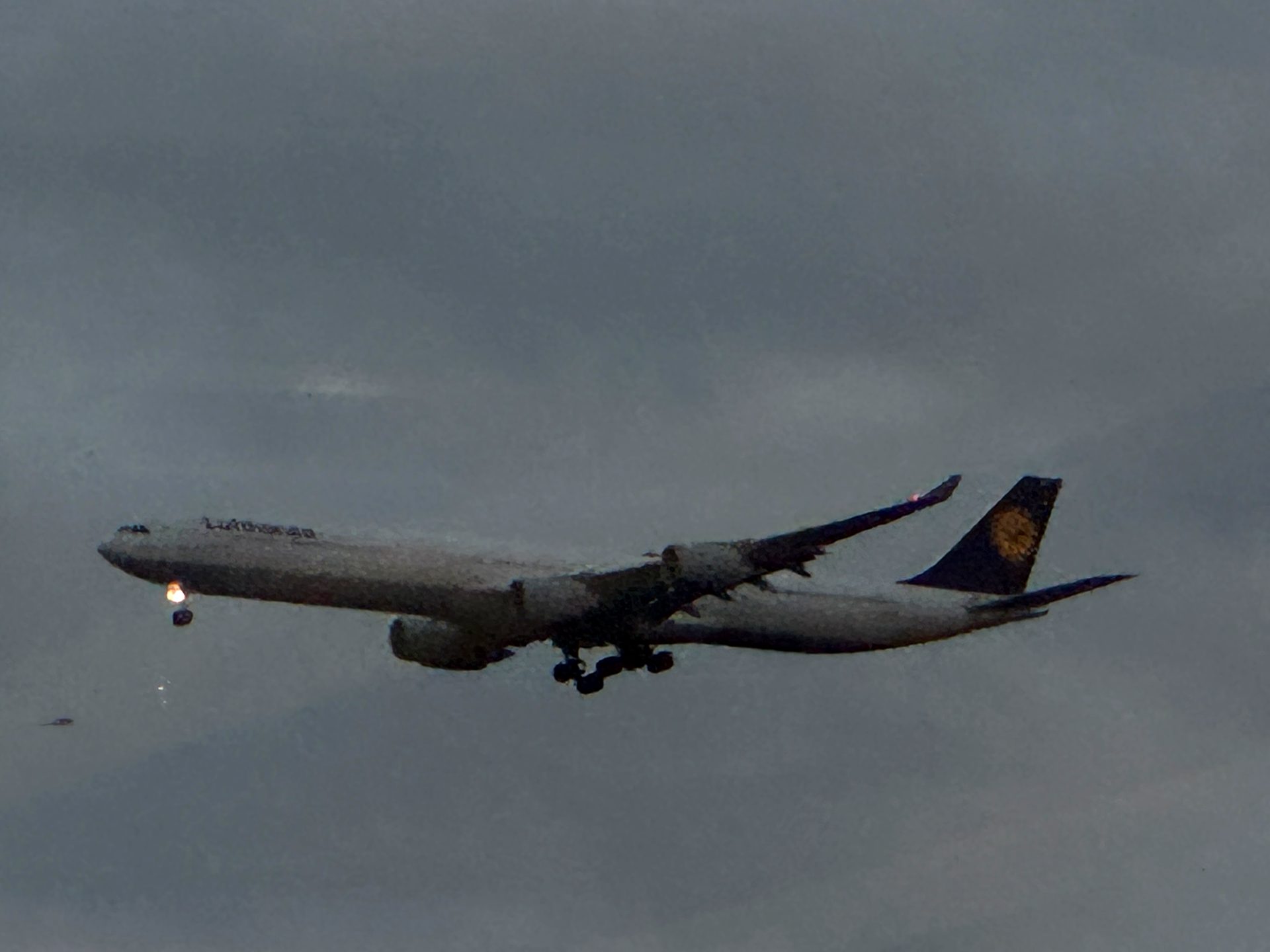 Airbus A340-600 Lufthansy na podejsciu do ladowania we Frankfurcie