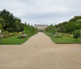 Jardin des Plantes – główna aleja Główna aleja Ogrodu Botanicznego z Muzeum Historii Naturalnej