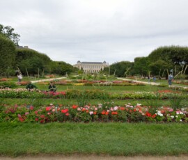 Jardin des Plantes – rabaty kwiatowe Kolorowe rabaty kwiatowe w Jardin des Plantes