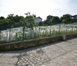 Winnica Clos Montmartre Winnica Clos Montmartre przy Rue des Saules