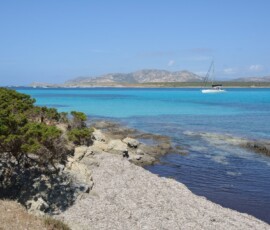 Katamaran na tle Isola Asinara Biały katamaran na turkusowym morzu z wyspą Asinara w tle przy Stintino
