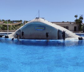 Aqualand Costa Adeje – pokaz delfinów Pokaz delfinów w Aqualand Costa Adeje – delfiny wyskakują z wody przy szyldzie parku
