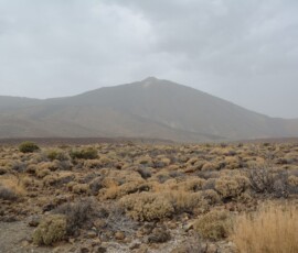 Wulkan Teide – panorama kaldery Majestatyczny stożek wulkanu Teide wynurzający się z mgły ponad pustynną kalderą