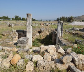 Ruiny Hierapolis – między starożytnymi kamieniami rosną dzikie maki. Historia i przyroda razem. Ruiny starożytnego miasta Hierapolis z kolumnami i makami kwitnącymi między kamieniami