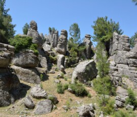 Każdy z tych kamiennych słupów wygląda jak naturalnie wyrzeźbiona figura. Natura jest najlepszym artystą. Wapienne skalne słupy i wieże wśród sosen na płaskowyżu w Turcji