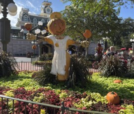 Magic Kingdom – dyniowy strach na wróble Wielki dyniowy strach na wróble przy kolorowych klombach w Magic Kingdom