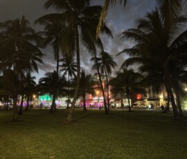 Ocean Drive – palmy nocą przed hotelami Art Deco Sylwetki palm i neonowe hotele Art Deco przy Ocean Drive w Miami Beach nocą