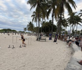 Miami Beach – siłownia na świeżym powietrzu przy plaży Siłownia na świeżym powietrzu wśród palm przy plaży Miami Beach
