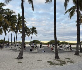 Miami Beach – siłownia plenerowa i palmy Ludzie ćwiczący na urządzeniach siłowni plenerowej wśród palm przy Miami Beach