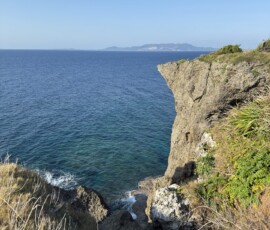 Klify nad oceanem na Okinawie Klify z tropikalną roślinnością opadające do turkusowego Oceanu Spokojnego na Okinawie