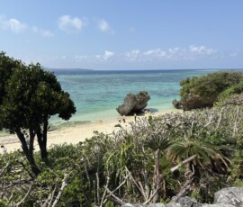 Skały i plaża Nishihama na Okinawie Widok na tropikalną plażę Nishihama z klifami i turkusowym oceanem