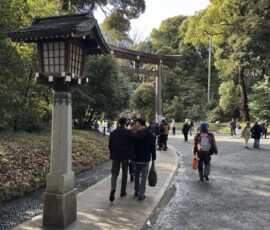 Aleja prowadząca do Meiji-jingu Aleja z drewnianą bramą torii wiodąca w głąb lasu do sanktuarium Meiji-jingu