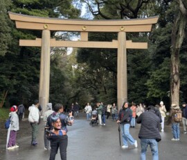 Wielka brama torii świątyni Meiji-jingu Drewniana brama torii przy wejściu do sanktuarium Meiji-jingu w Tokio