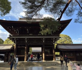 Główna brama Meiji-jingu Zabytkowa drewniana brama Meiji-jingu otoczona starymi drzewami