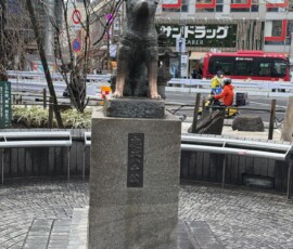 Pomnik Hachiko przy stacji Shibuya Brązowy pomnik wiernego psa Hachiko przed stacją Shibuya