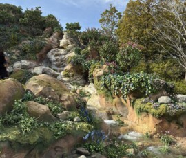 Kraina Zaplątanych – magiczne skały i kwiaty Fantasy Springs – Tangled area w Tokyo DisneySea z magicznymi skałami i kwiatami
