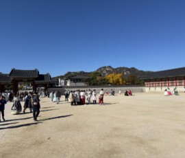 Gyeongbokgung – dziedziniec z gośćmi w hanbok Turystki w kolorowych strojach hanbok na głównym dziedzińcu pałacu Gyeongbokgung