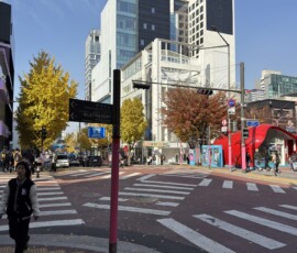 Hongdae – główne skrzyżowanie dzielnicy studenckiej Skrzyżowanie w dzielnicy Hongdae z charakterystycznym szyldem i drzewami miłorzębu