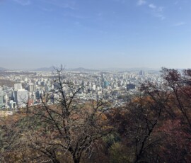 Panorama Seulu z góry Namsan Rozległa panorama Seulu widziana z góry Namsan przez jesienne liście