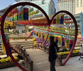 Festiwal chryzantem – instalacja z sercem Kolorowa instalacja z sercem i lampionami wśród chryzantem na festiwalu w świątyni Jogyesa