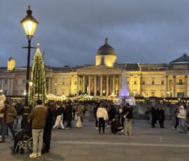 Trafalgar Square – choinka norweska i National Gallery nocą Choinka norweska na Trafalgar Square z podświetloną National Gallery i iluminowaną fontanną nocą