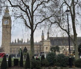 Westminster – Big Ben i Pałac Westminsterski przez drzewa Big Ben i Pałac Westminsterski widziany przez gałęzie drzew przy parku z czerwonym autobusem w tle
