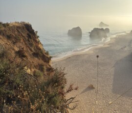 Klify Algarve – zachód słońca Złote klify Algarve w mgle o zachodzie słońca z piaszczystą plażą