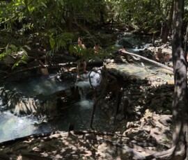 Krabi – Hot Springs – gorące źródła w dżungli Turyści kąpiący się w naturalnych basenach gorących źródeł wśród drzew deszczowego lasu w Krabi