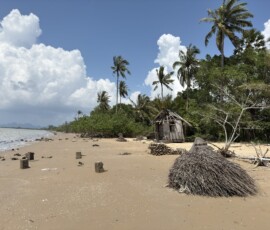Krabi – dzika plaża z opuszczoną chatką Dzika tropikalna plaża z opuszczoną drewnianą chatką i palmami na tle błękitnego nieba