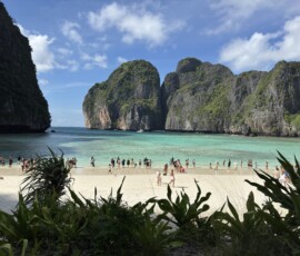 Phi Phi – Maya Bay – plaża z filmem The Beach Słynna plaża Maya Bay na wyspie Ko Phi Phi Leh z turkusową wodą i skałami wapiennymi