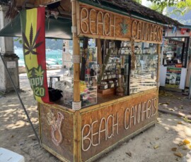 Phi Phi – sklep z konopiami na plaży Bambusowy kiosk z napisem Beach Cannabis na plaży Phi Phi