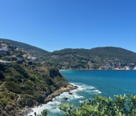 Wybrzeże z figowcami – Skopelos Zielone wybrzeże Skopelos z figowcami i turkusową zatoką w tle