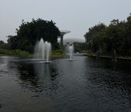 Gardens by the Bay – fontanny i ogrody Fontanny na jeziorze w Gardens by the Bay z Supertree i szklaną kopułą w tle