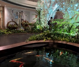 Staw z karpiami koi w Terminalu 4 Changi Staw z karpiami koi i mostkiem w Terminalu 4 lotniska Changi w Singapurze
