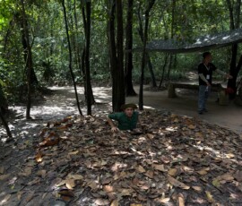 Las przy Tunelach Cu Chi Leśny teren kompleksu Tuneli Cu Chi w Wietnamie